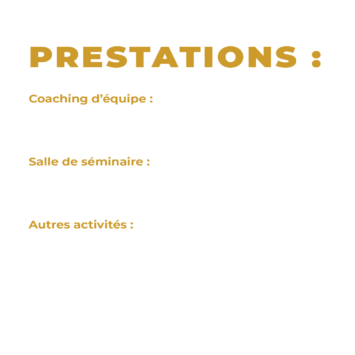 Coaching d’équipe : notre partenaire vous apportera des solutions pour résoudre vos problématiques professionnelles. Salle de séminaire : notre partenaire dispose de plusieurs salles de réunions, pour accueillir vos séminaires. Autres activités : envie de bouger ou de vous détendre ? Notre partenaire vous proposera un large catalogue d’activités (fitness, foot, badminton, spa etc..).